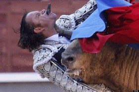 Bull fighter gored