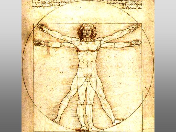 Leonardo-da-Vinci-inventions-nationalturk-0345 Leonardo da Vinci's designs to be exhibited in Turkey