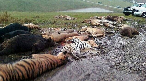 Ohio Wild Animal Massacre