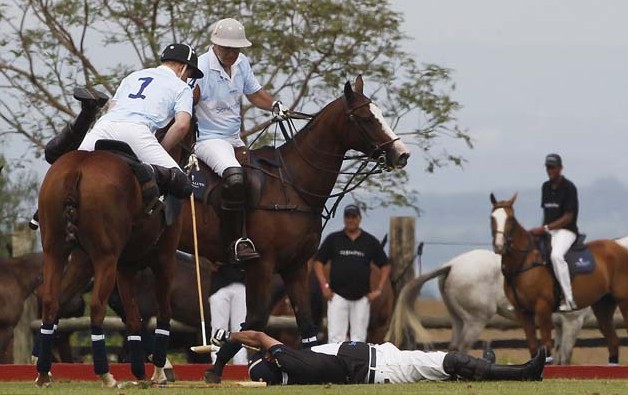 Prince Harry to the rescue - Prince Henry the Knight at your service Prince Harry to the rescue - Prince Henry the Knight at your service