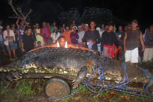 Crocodile attack in India : One Briton munched by mugger croc, second still missing 