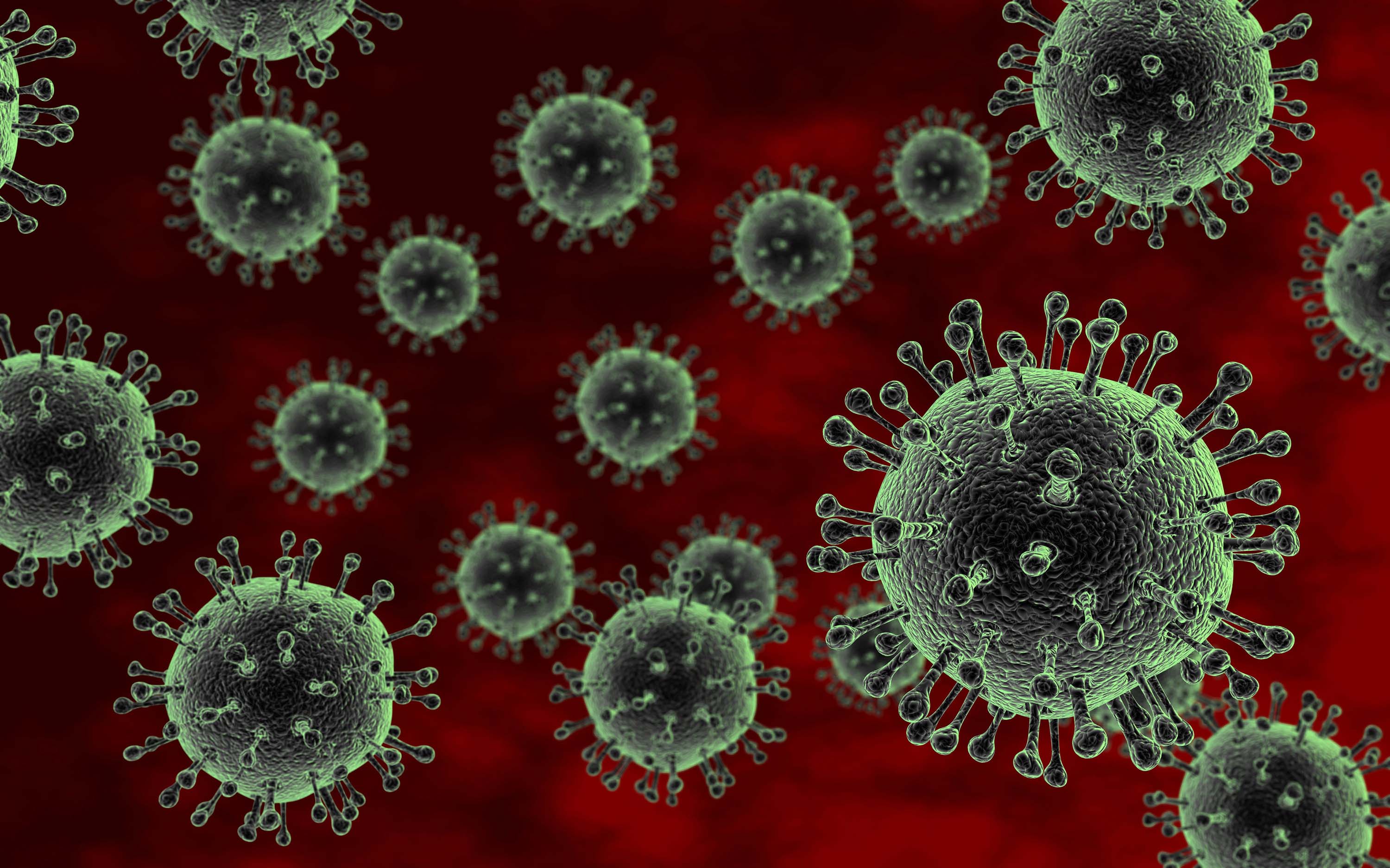 Bird Flu Viruses