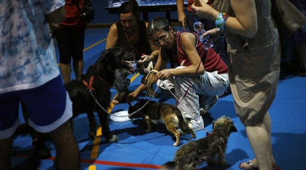 Women, who were evacuated from their homes due to a forest fire in the area, give water to their dogs at a municipal sports center in La Lagunas, near 