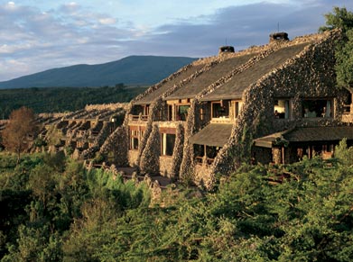 Ngorongoro Serena Safari Lodge is perched on the jagged rim of the crater, wreathed in morning mist, camouflaged in river-stone and cloaked in indigenous creepers, a triumph of ecological and architectural fusion
