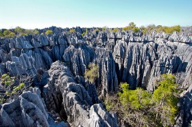 Madagascar: 90% of the species in Madagascar are found nowhere else on earth at the Tsingy De Bemaraha Park item-thumbnail