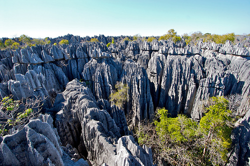 Tsingy de Bemaraha is a National Park in Madagascar