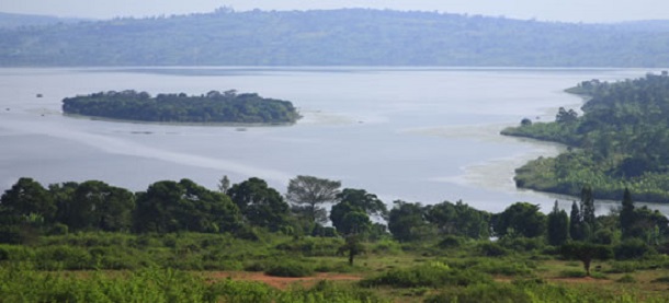 Burundi Tourism: The Bururi Natural Reserve is the best Place to be when you are Burundi / Africa News