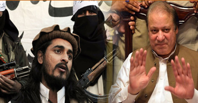 Pakistan government-TTP talks have kickstarted.