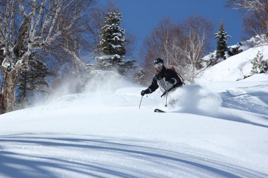 A skier skiing on snow decked slopes of Gulmarg. File Pic