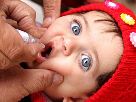 A baby being administered polio drops in Pakistan. File Pic