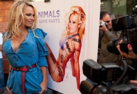 Appearance in Cannes: Pamela Anderson talks about her rape / Cannes Film Festival News item-thumbnail