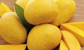 Tasty Alphonso mangoes