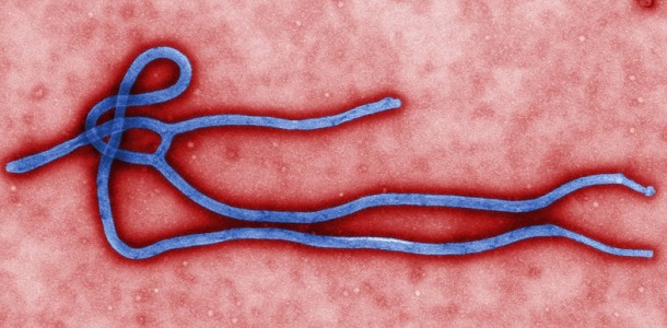 Ebola Virus Ebola Virus