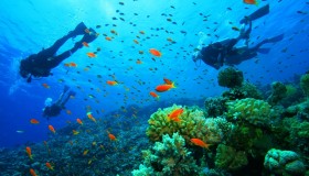 US scientists listen to deepest part of ocean item-thumbnail