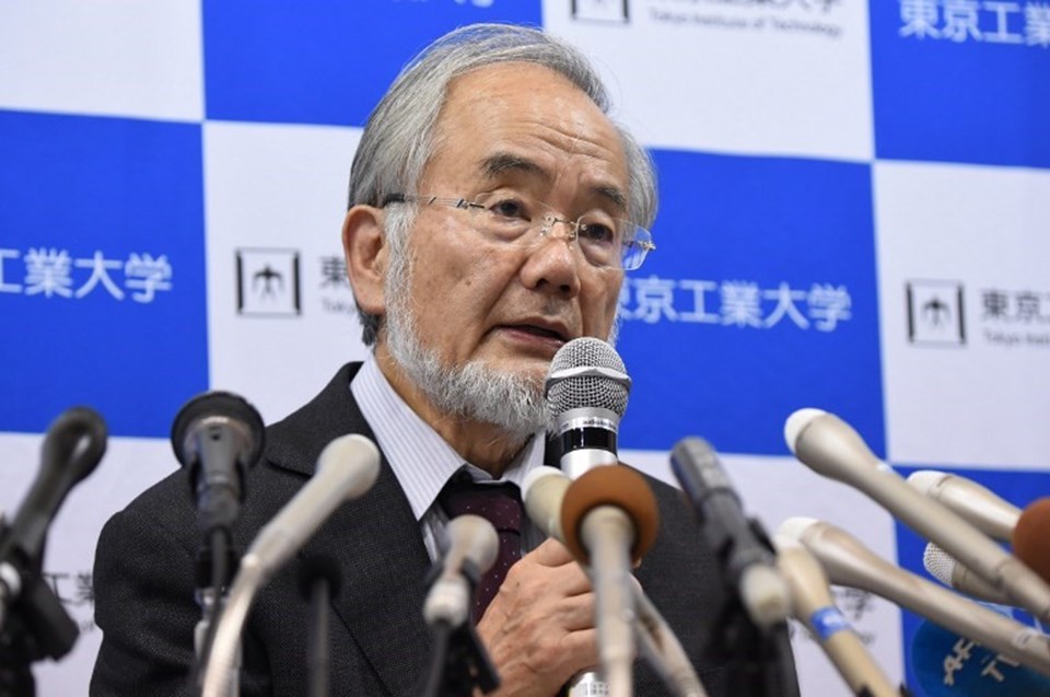 yoshinori-ohsumi-nobel