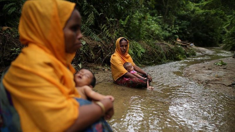 Scholar calls for regional solution to Rohingya crisis item-thumbnail