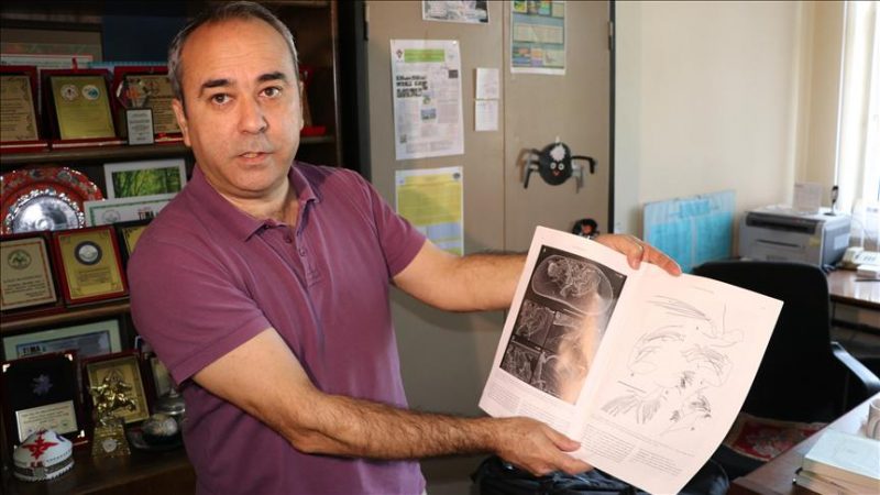 Turkish professor discovers tiny underwater organisms item-thumbnail