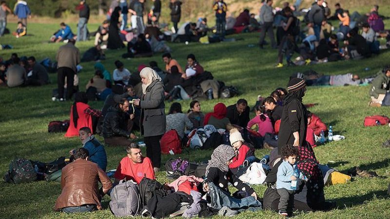 Over 65 undocumented migrants held in Turkey item-thumbnail