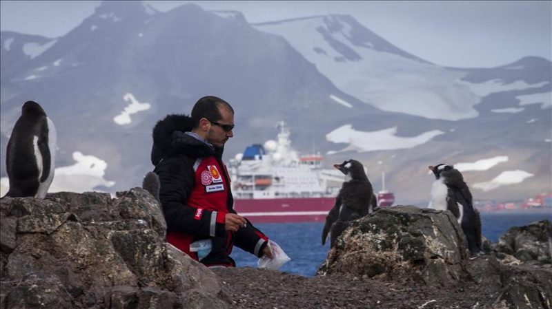 World’s biggest natural laboratory in Antarctica item-thumbnail