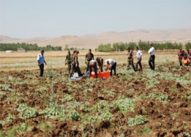 elazig kaza