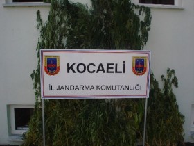 kocaeli