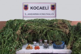 kocaeli uyusturucu