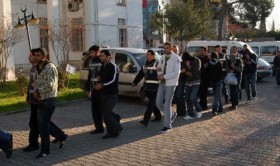 suclular suclular