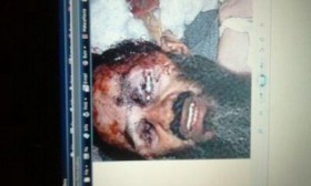 Usame Bin Ladin binladin