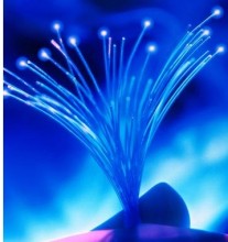 fiber
