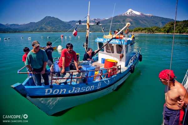 Şilili Balıkçılar sıkıntılı