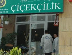 avm cinayet