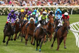 Melbourne Cup 'tan goruntuler