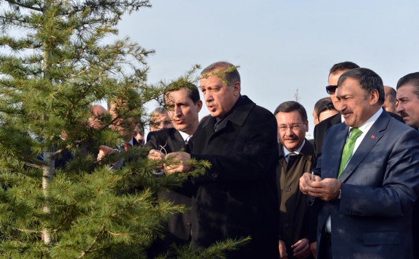 Erdoğan 