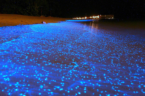 Maldivler ışıklar