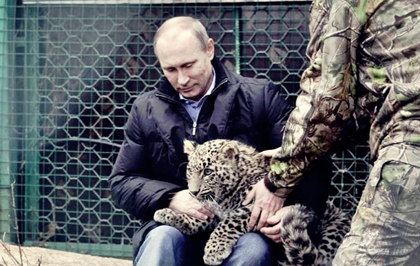 Putin leopar