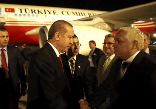 Erdoğan Küba'da