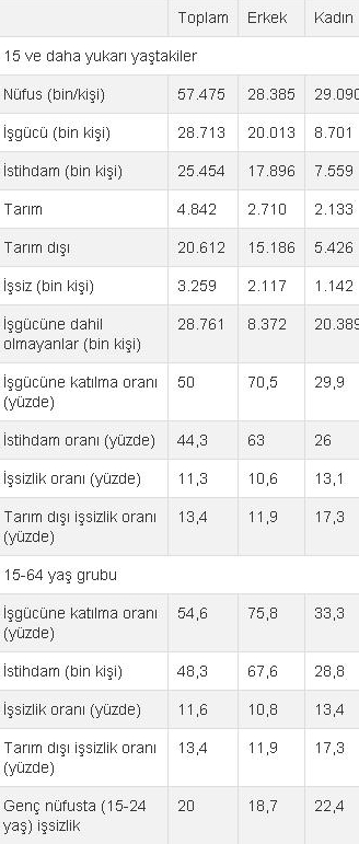 issiz1