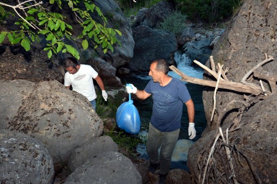 Tunceli'de Anadolu leoparı heyecanı 2 Leopar