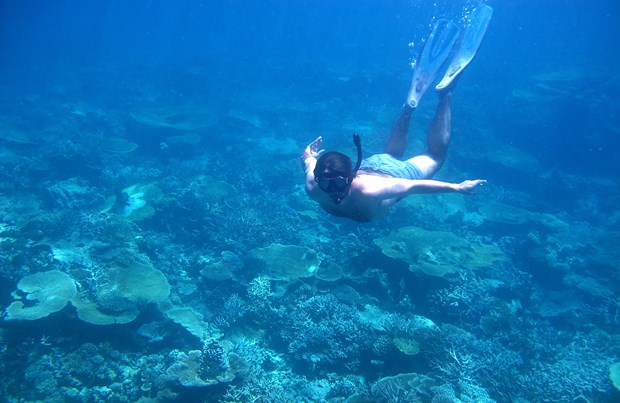 Maldivler hakkında bilmeniz gereken 10 şey! 8 maldivler-sualtı