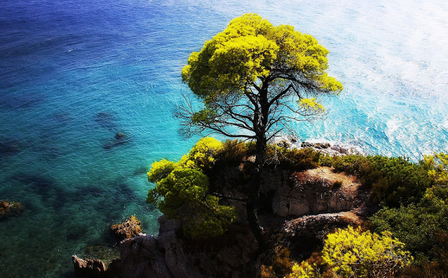 skopelos-adasi-deniz