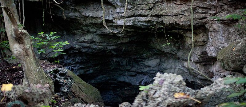 The Bat Cave (Yarasa Mağarası)