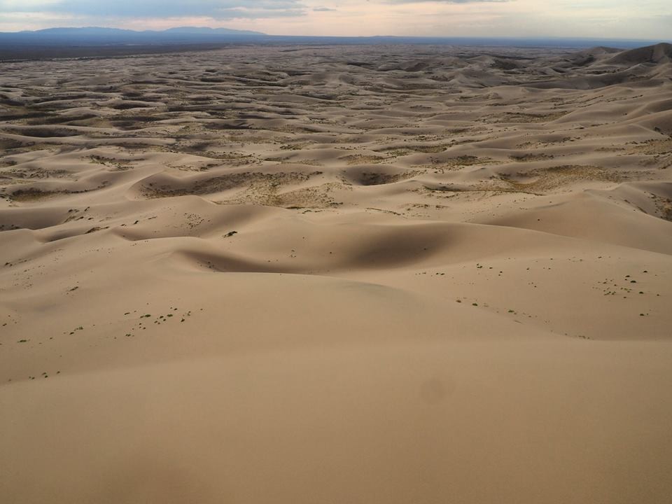 gobi7