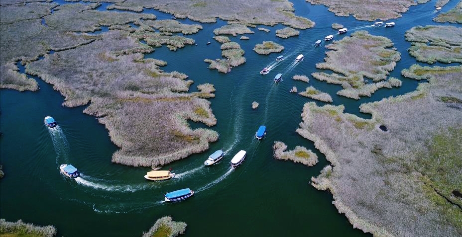 dalyan mugla