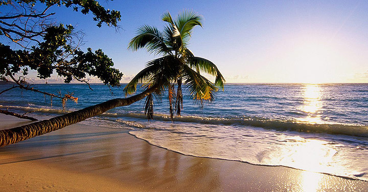 Tropik Adalar Seyşeller