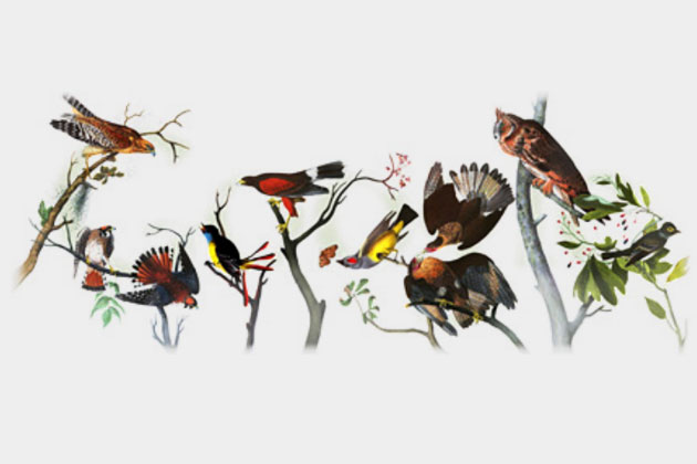 google new logo honors audubon