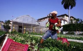 Cuban Agriculture celebrates Reform day
