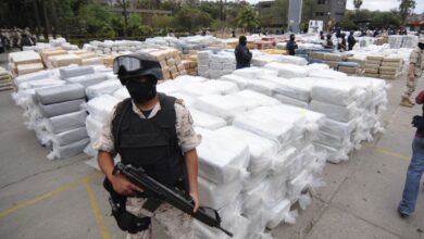 Mexico: Drug Cartel Violence Spills Blood without a break