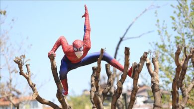 Real Spiderman climbing