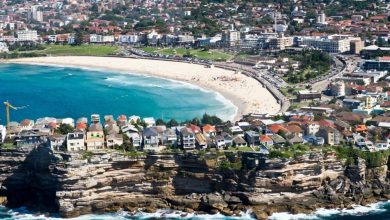 The Best City Beaches