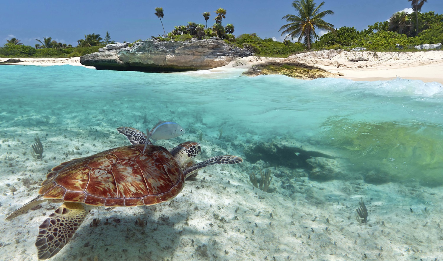 Playa del Carmen - Best beaches in Mexico